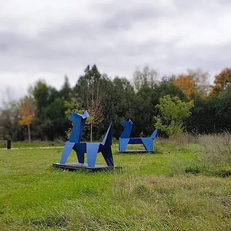 Botel Peniche Cocoun